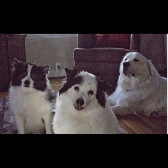 Meet your Posher, Paula - Picture 2 of 12